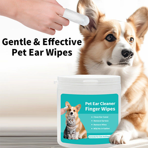 อ่อนโยนปลอดภัยและมีประสิทธิภาพ: PET WET WIPES เจ้าของสัตว์เลี้ยงทุกคนต้องการ